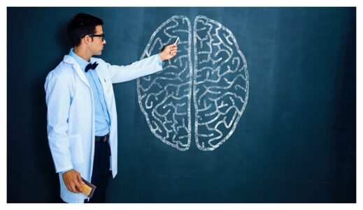Brain Study
