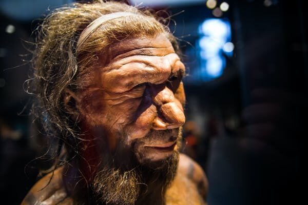 Click to enlarge Neanderthal Man