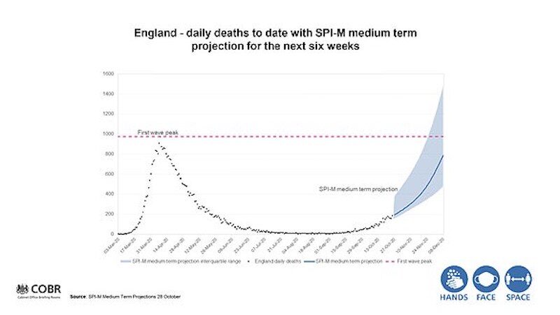 England daily deaths
