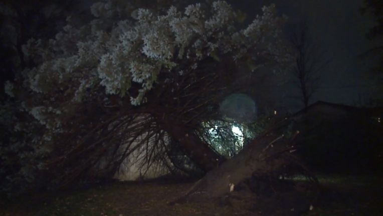 Click to enlarge Trees down near 35th and College, Franklin