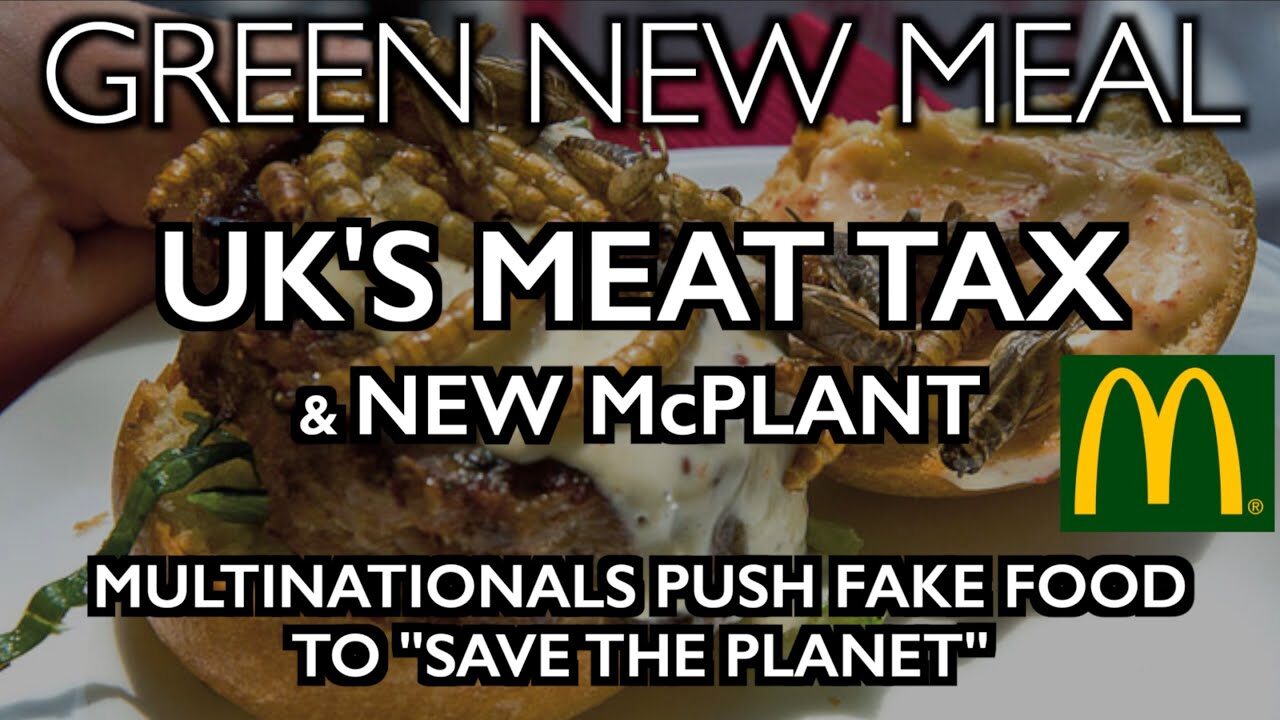 meat