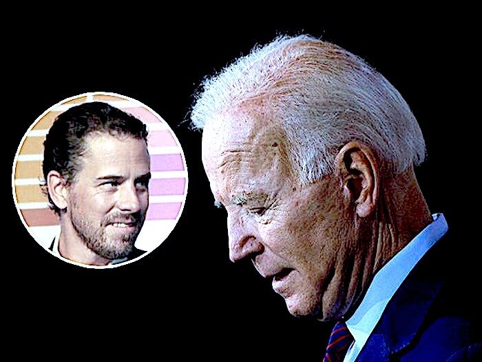 Click to enlarge Hunter and Joe Biden