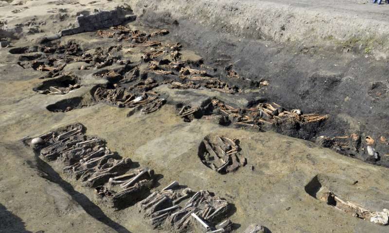 Click to enlarge Japan mass grave