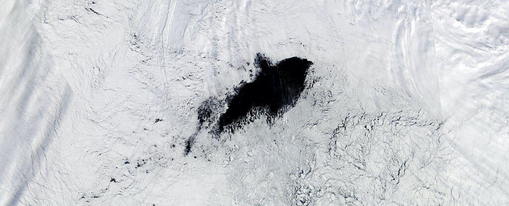 polynya