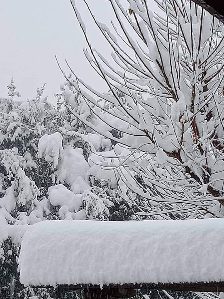 snow