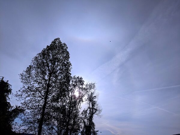 sun sog alabama