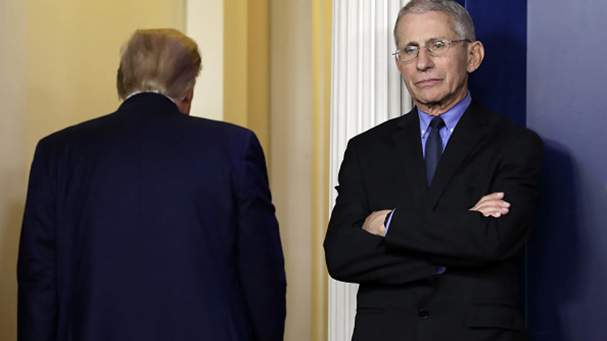 Click to enlarge fauci and trump