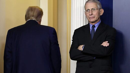 fauci and trump