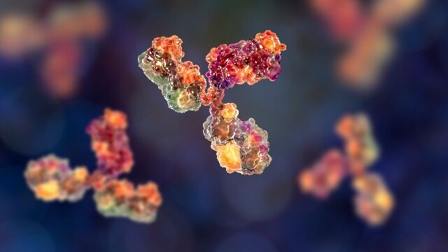 Immune Cells