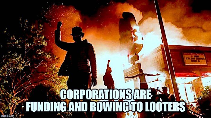 domestic terrorists