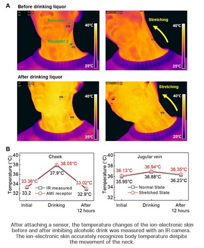 Click to enlarge Artificial Skin