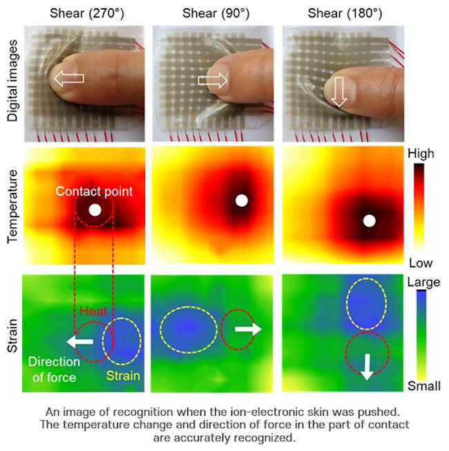 Click to enlarge Artificial Skin 2
