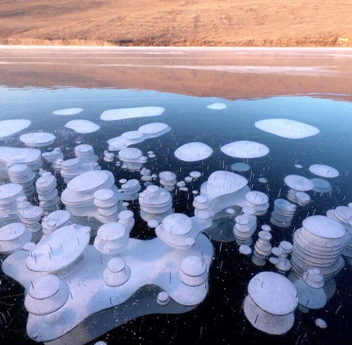 Bubbles of frozen methane seen through crystal clear ice of lake Baikal.