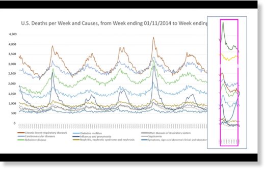 Graph depicts the number of deaths per cause during that period in 2020 to 2018.