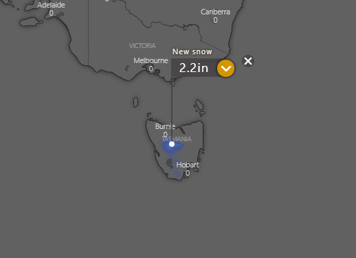 ECMWF “new snow” forecast for Dec 1 [windy.com].