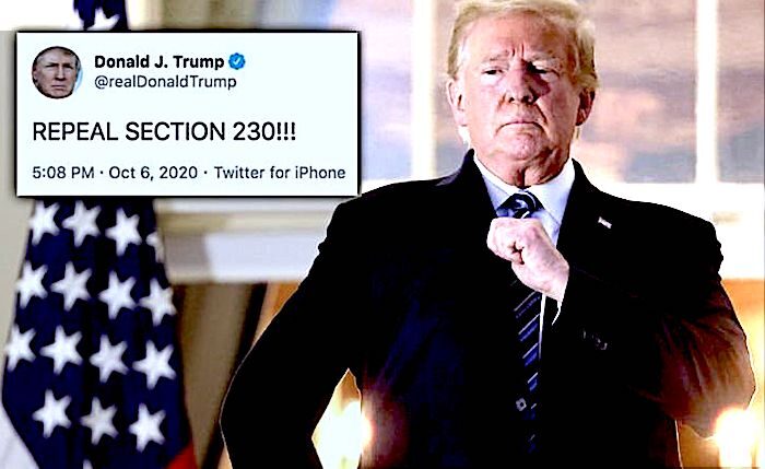 Click to enlarge Trump/230