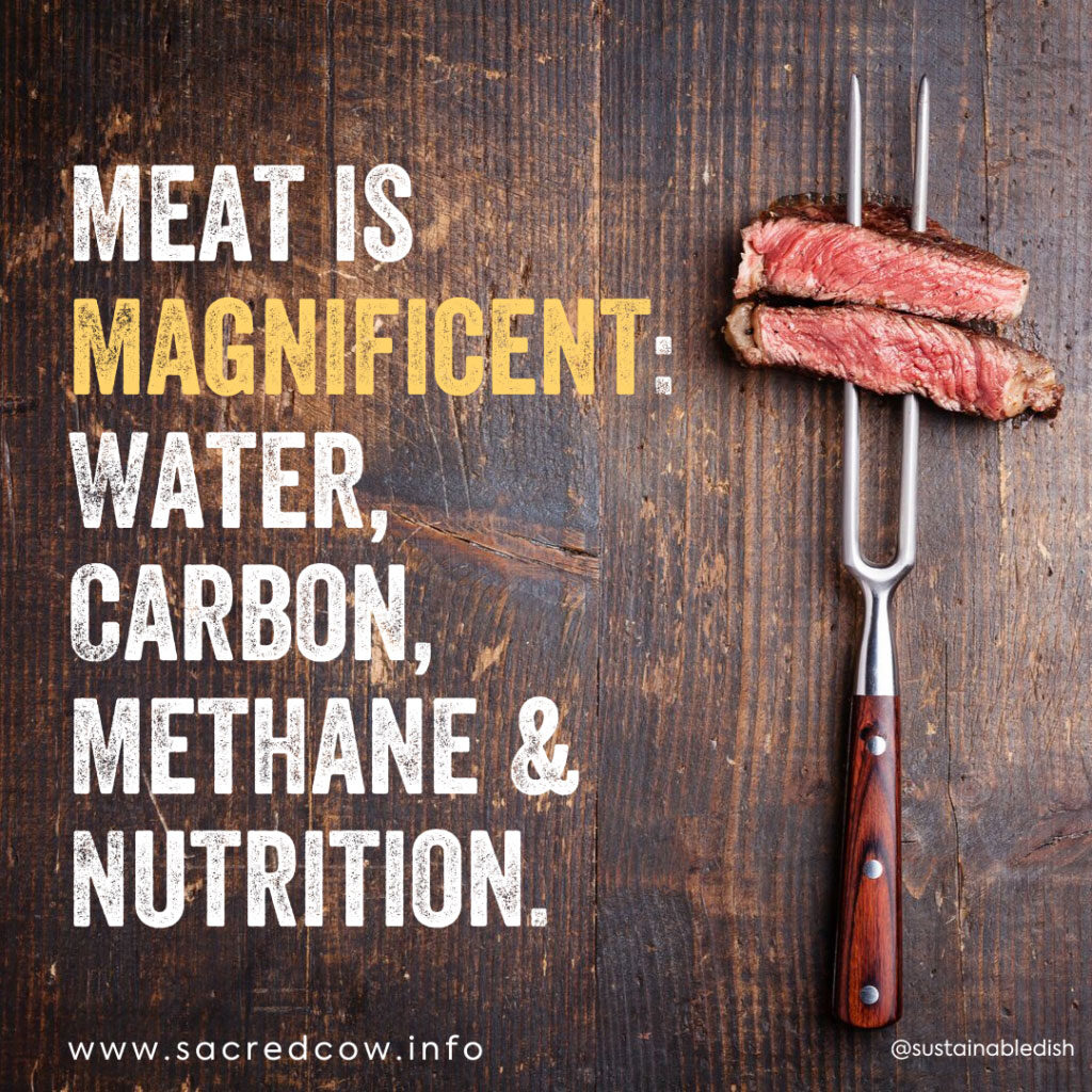 Click to enlarge sustainabledish