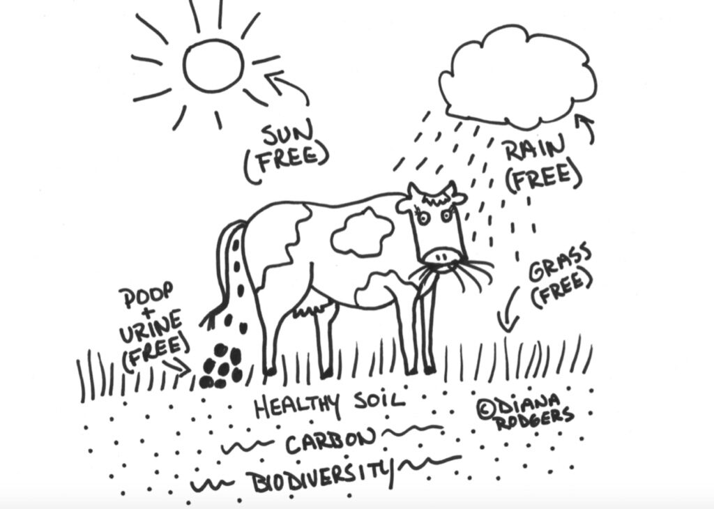 Click to enlarge sustainabledish.com