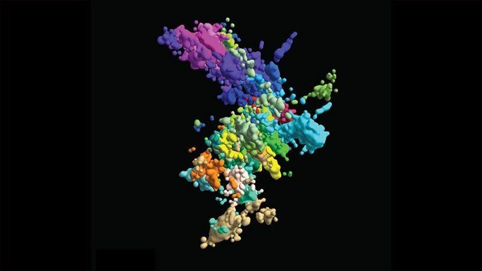 Click to enlarge chromatin
