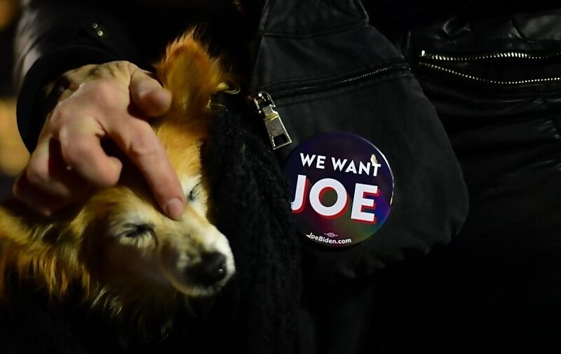 joe biden campaign button dog