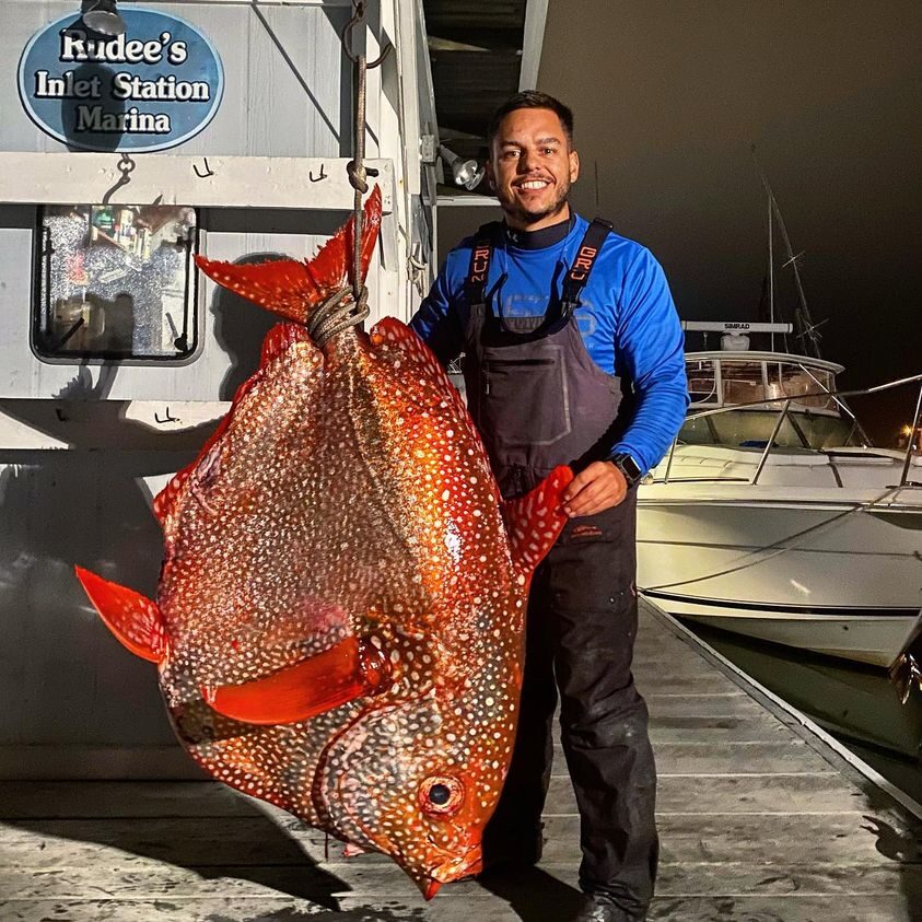 Click to enlarge fish