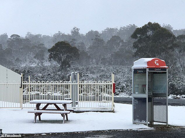 Click to enlarge Great Lake Hotel duty manager Truen John woke up to see and saw the snow outside his hotel (Pictured)
