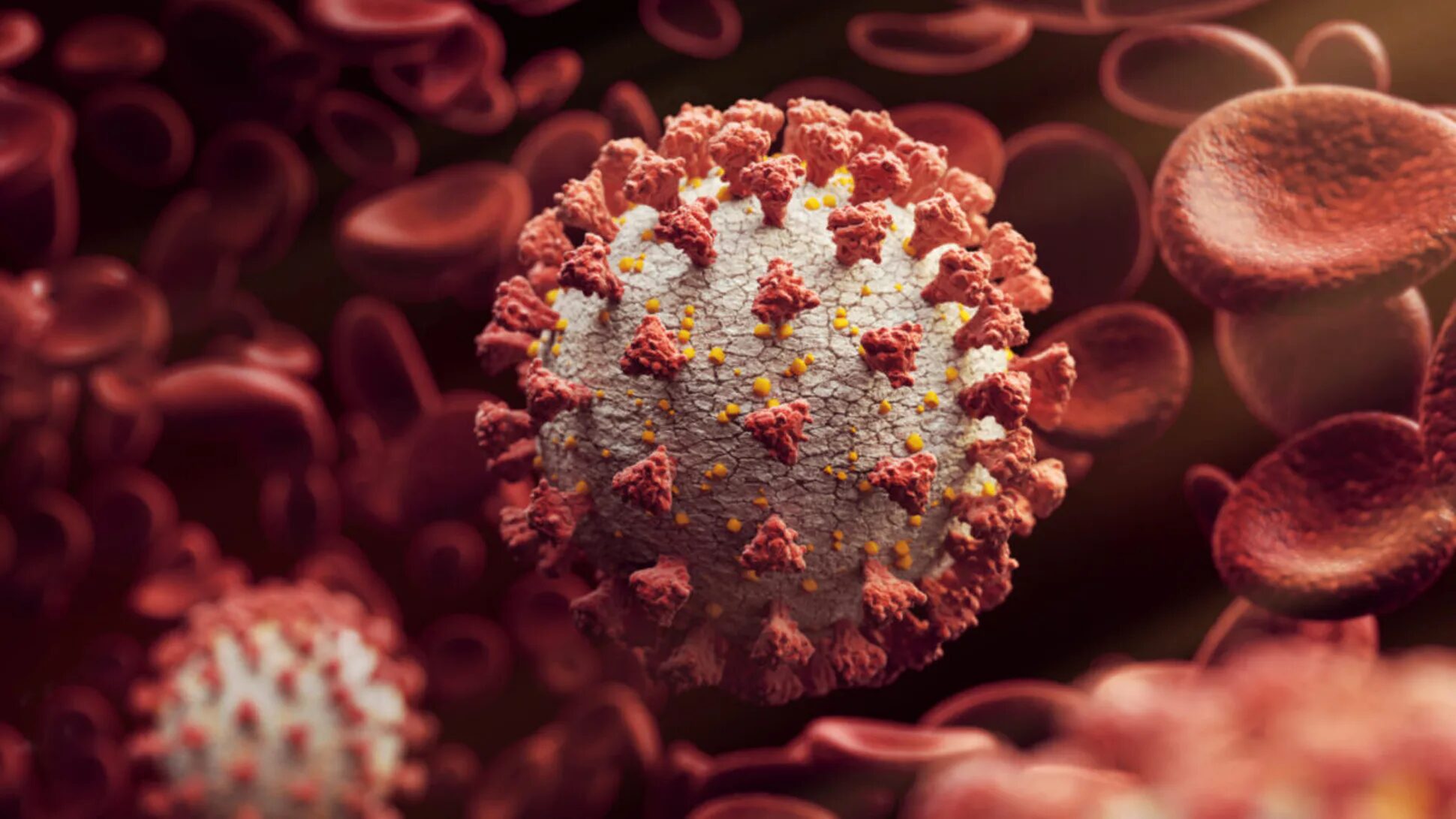 coronavirus model
