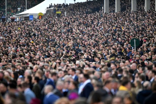 Click to enlarge Cheltenham