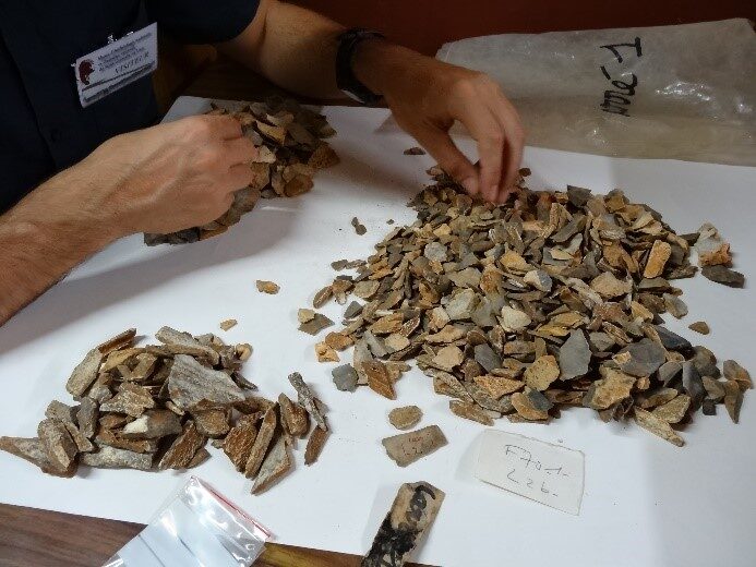 Click to enlarge Neandertal Remains