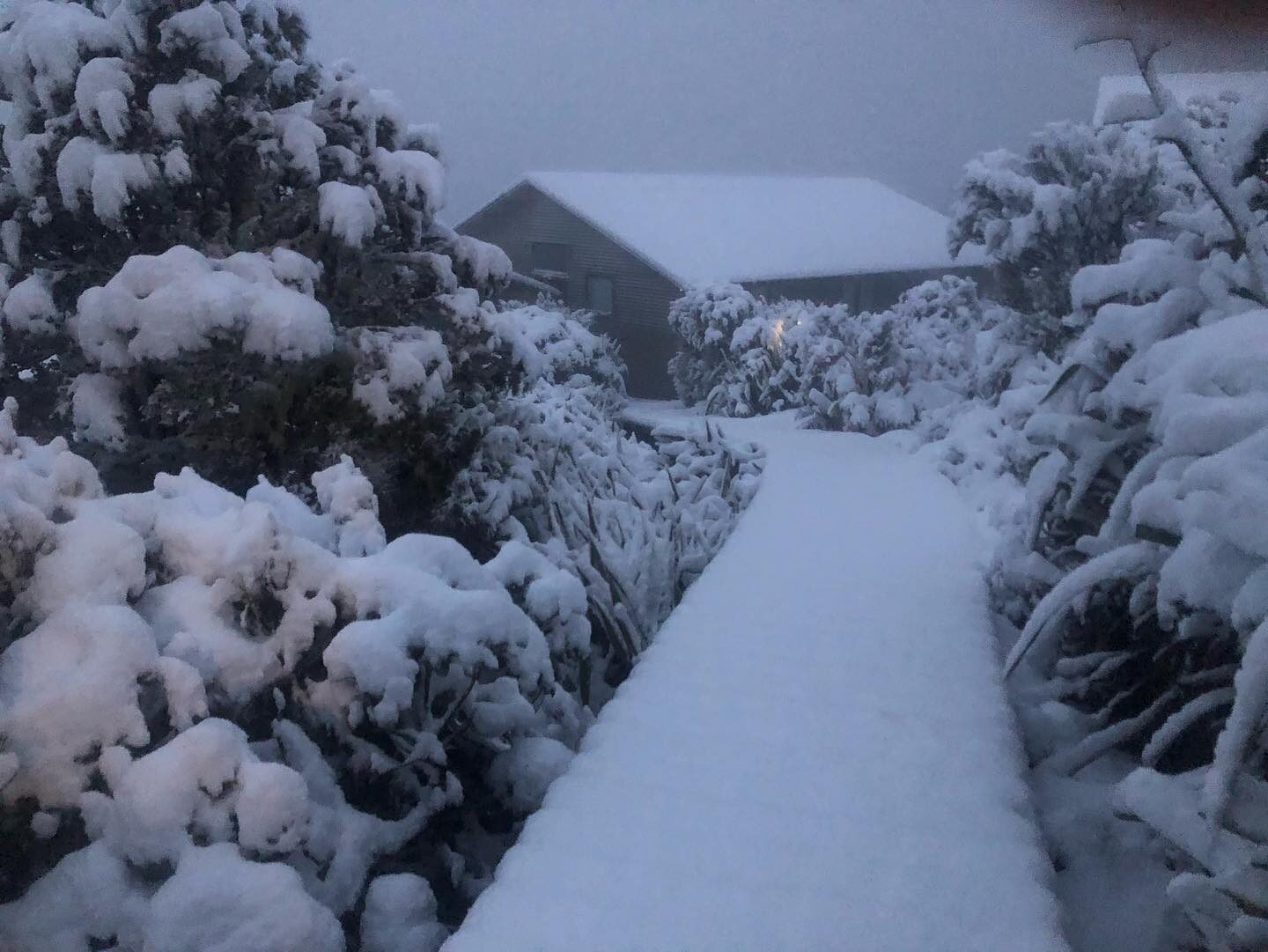 Click to enlarge snow