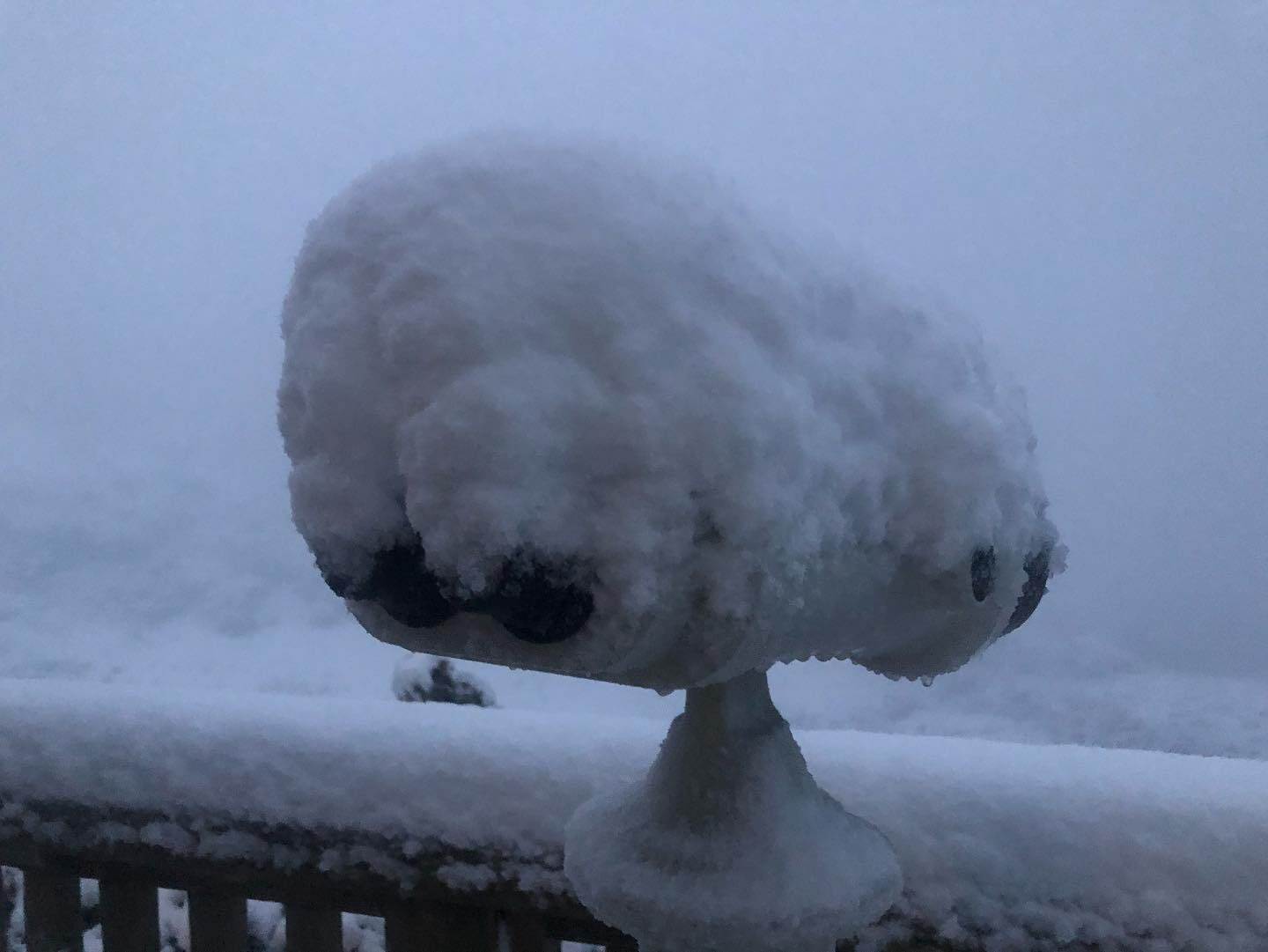 Click to enlarge snow