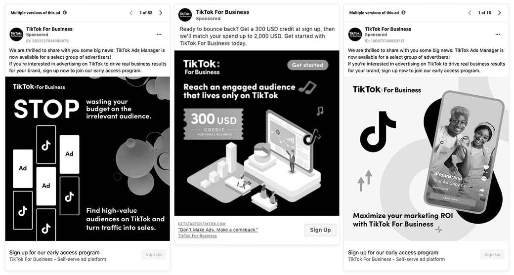 Click to enlarge TikTok ads