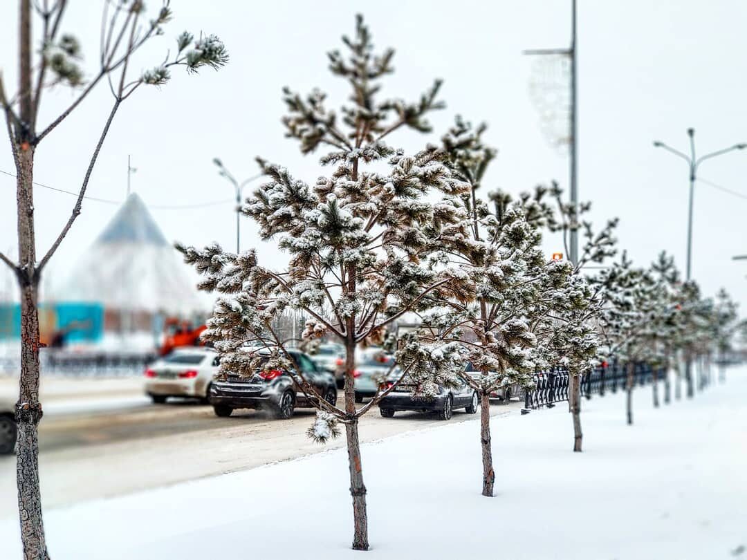 ice snow