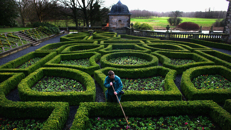 Click to enlarge garden