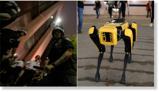 robot dog