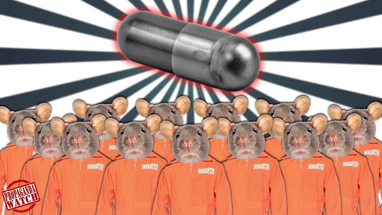 mouse pill