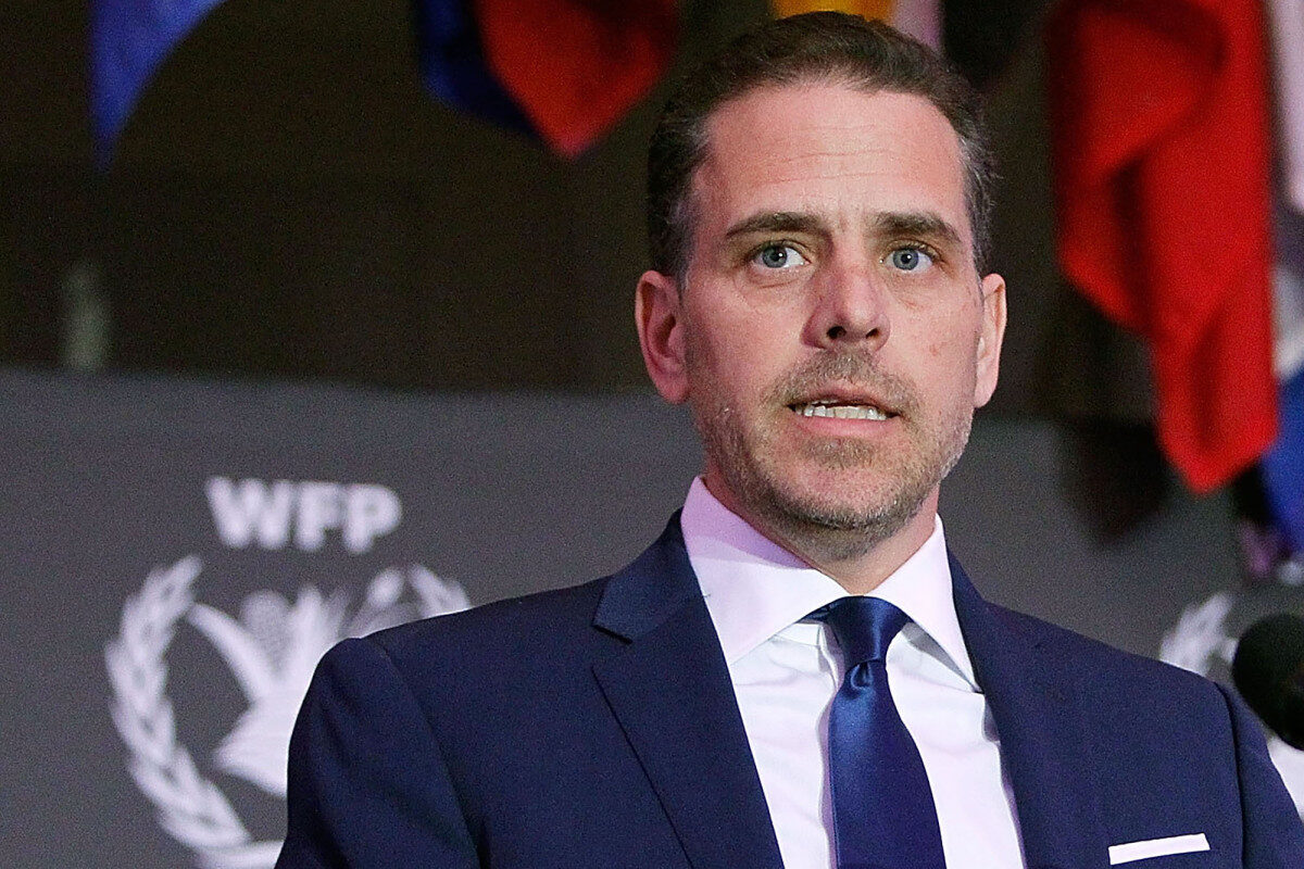 Click to enlarge hunter biden wfp