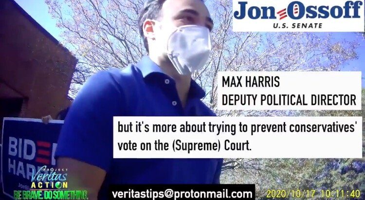 Click to enlarge max harris project veritas
