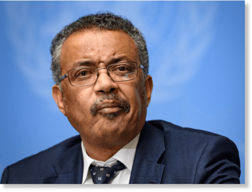 WHO chief Tedros could face genocide charges for role in killing ...
