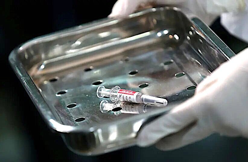Click to enlarge Vaccine in tray