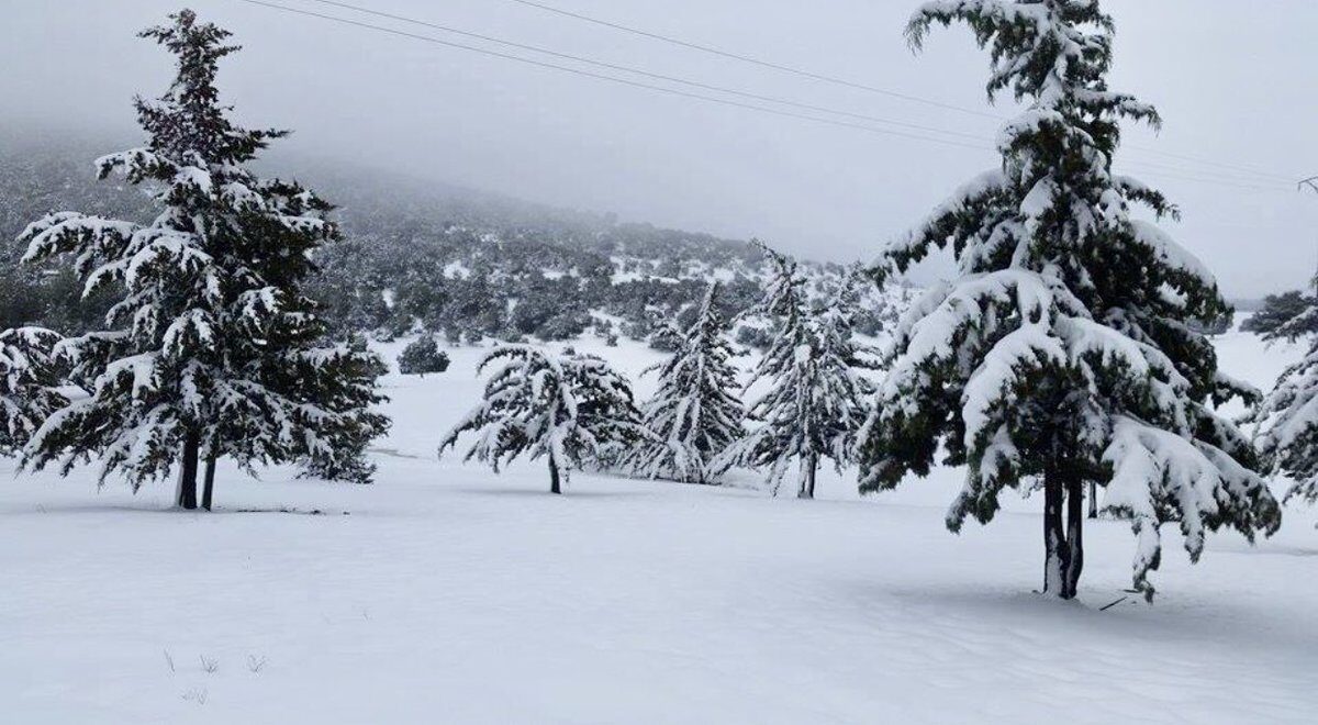 SNOW