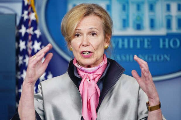 Click to enlarge Birx