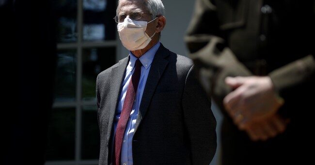 Click to enlarge fauci mask