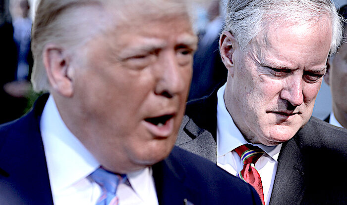 TrumpMeadows