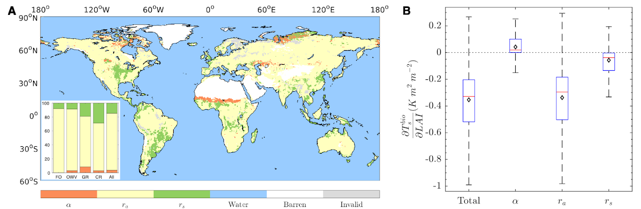 global green