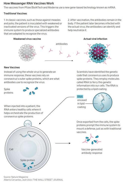 Click to enlarge messenger RNA vaccine