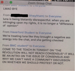 Click to enlarge Bryn Mawr College Zoom group chat
