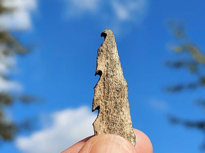 Click to enlarge human bone point