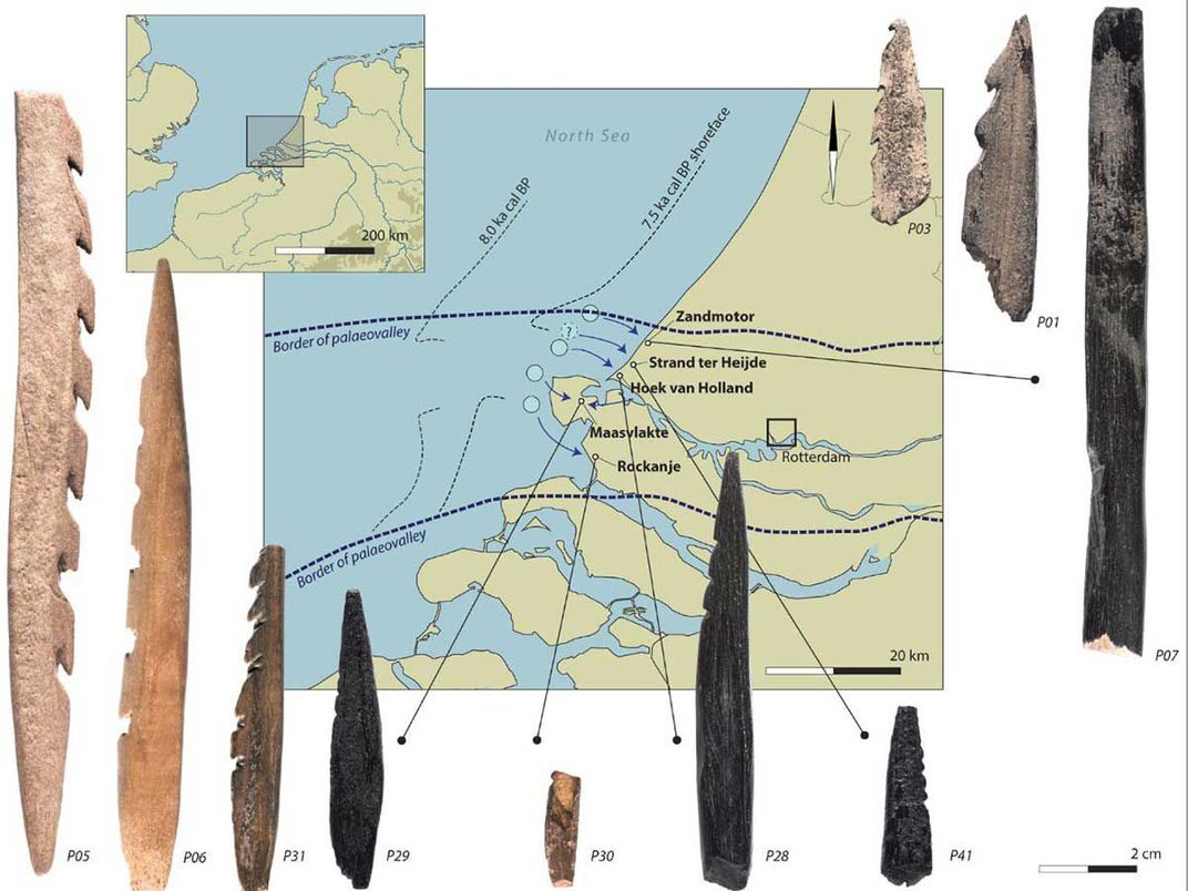 Click to enlarge human bone point