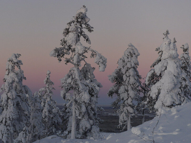 Finnish Lapland
